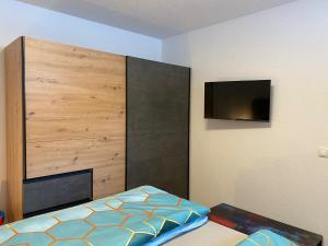 TV a/nebo společenská místnost v ubytování Adlers Apartments Arlberg