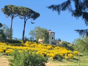 una casa en la cima de una colina con flores amarillas en Podere La Cava en Chianciano Terme