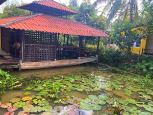 Zahrada ubytování Nokkamin Home Chiang Dao