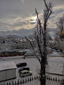 Príroda v okolí apartmánu