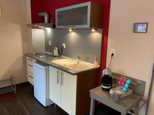 Kuchyň nebo kuchyňský kout v ubytování Apartmány Rudík