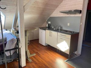 Kuchyň nebo kuchyňský kout v ubytování Apartmány Rudík
