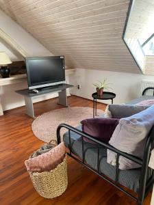 TV a/nebo společenská místnost v ubytování Apartmány Rudík