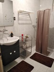 y baño con lavabo y ducha. en Lipics Part en Murarátka