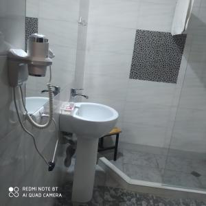 Gallery image of Two Lions Hotel in Tbilisi City