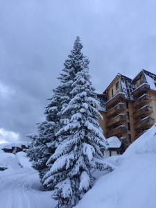 Penthouse Apartment 28m² in Avoriaz right next to 3 ski lifts, lake view during the winter