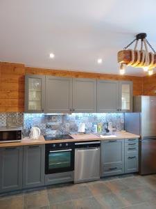 a kitchen with gray cabinets and stainless steel appliances at Sielankowo-dom na wyłączność in Istebna