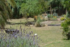 Jardín al aire libre en Buenavida