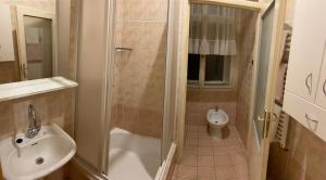 a bathroom with a shower and a sink and a toilet at Penzion Dubík in Dubí