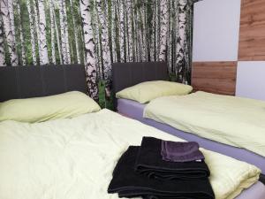 Llit o llits en una habitació de Feriendomizil Wachau