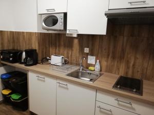 Kuchnia lub aneks kuchenny w obiekcie Feriendomizil Wachau