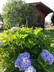Ogród w obiekcie Feriendomizil Wachau