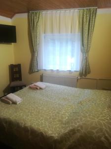 Gallery image of Pension Krista in Kraslice