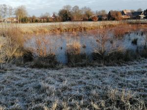 a field with snow on the grass and a pond at Am Kleinheider Weg in Großheide