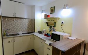 贝尔格莱德Central Ant Apartment的一间带柜台和微波炉的小厨房 更多3张照片