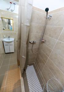 贝尔格莱德Central Ant Apartment的浴室里有带浴帘的淋浴间