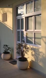 贝尔格莱德Central Ant Apartment的两个盆栽植物坐在门前