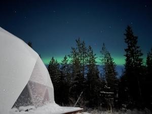Aurora Igloo Fireplace-heated Tents in a secret forest with private Jacuzzi and shared sauna bathroom and dog friendly talvel