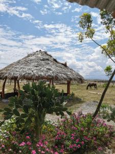 une cabane en herbe avec un cheval dans un champ fleuri dans l'établissement Pachingo Tatacoa Desert, à La Victoria