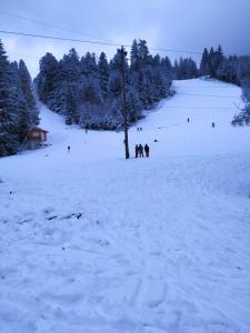 a group of people skiing down a snow covered slope at chambre double in Gérardmer