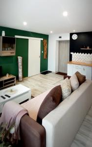 ein Wohnzimmer mit einem Sofa und einer grünen Wand in der Unterkunft Apartament u Edka przy Dolnej in Świeradów-Zdrój