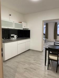 Kuchyň nebo kuchyňský kout v ubytování Apartmant T&T