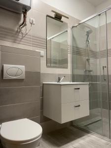 een badkamer met een toilet, een wastafel en een douche bij Apartmant T&T in Cheb