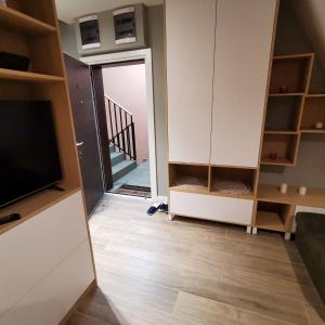 迪瓦伊巴雷Apartman Divcigora Sokic 2的一间带电视和镜子的客厅