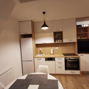 Kuhinja oz. manjša kuhinja v nastanitvi Apartman Divcigora Sokic 2