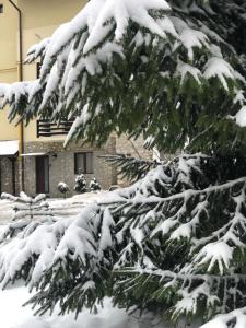 a snow covered tree in front of a building at Apartament Nicolle in Poiana Brasov