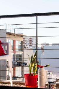 Una pianta in una pentola rossa vicino a una finestra di Nica Suite a Buenos Aires