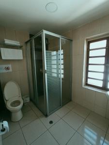 ein Bad mit einer Dusche und einem WC in der Unterkunft Suites+Arte in Quito