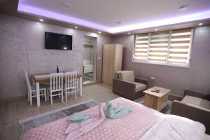Televisyen dan/atau pusat hiburan di Apartmani Božović