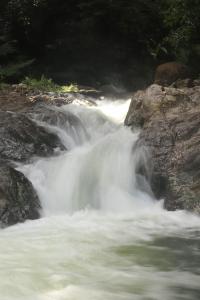 게스트하우스 주변 자연 경관