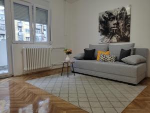 salon z kanapą i stołem w obiekcie Apartment Danica w Belgradzie