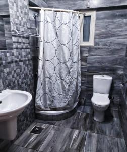 uma casa de banho com um WC e uma cortina de chuveiro em Jessy Charming apartment in Heliopolis em Cairo