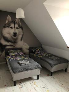 Posteľ alebo postele v izbe v ubytovaní Apartament Lux-centrum
