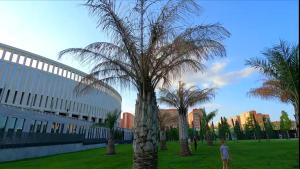Фотография из галереи New Stadium Krasnodar Apartment в Краснодаре
