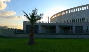 Фотография из галереи New Stadium Krasnodar Apartment в Краснодаре