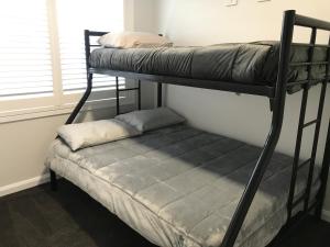 two bunk beds in a room with a pillow on the bottom bunk at Sunnyside Retreat - Holiday Home - Walk to Nobbys or Flynns Beach , enjoy the sound of waves and birds in Port Macquarie