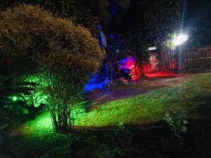 ミリッサにあるAkash Villaの緑と紫の灯る夜の庭