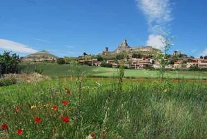a field of flowers in a field with a castle at Casa rural y B&B la Perla in Hiendelaencina