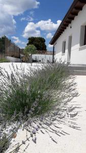 Fotografie z fotogalerie ubytování la Perla Casa Rural sostenible v destinaci Hiendelaencina