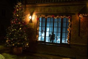 ペチョールィにあるHotel "GERBERG HOUSE"の窓を見下ろす犬とクリスマスツリー