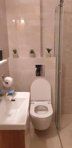 Ванна кімната в Apartman Mina Jezero