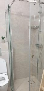 Ванна кімната в Apartman Mina Jezero