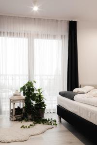Posteľ alebo postele v izbe v ubytovaní Royal Apartments & Spa Zakopane-Cyrhla