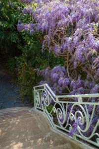 una panchina bianca è ricoperta di fiori viola di La Maison de Florence ad Angers