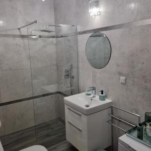bagno con doccia, lavandino e specchio di Apartament Skarbowa a Leszno