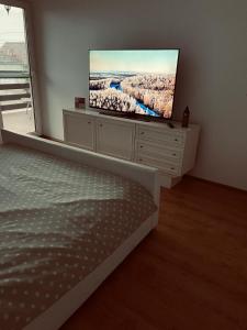 um quarto com uma televisão de ecrã plano numa cómoda em Casa Verde em Foeni
